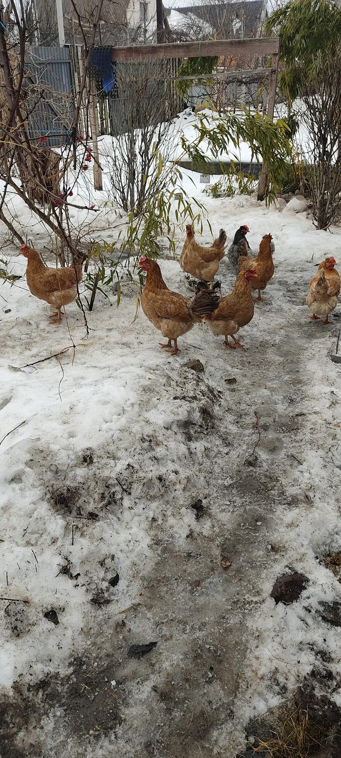 [Thumbnail for IMG_20260214_120414.jpg]