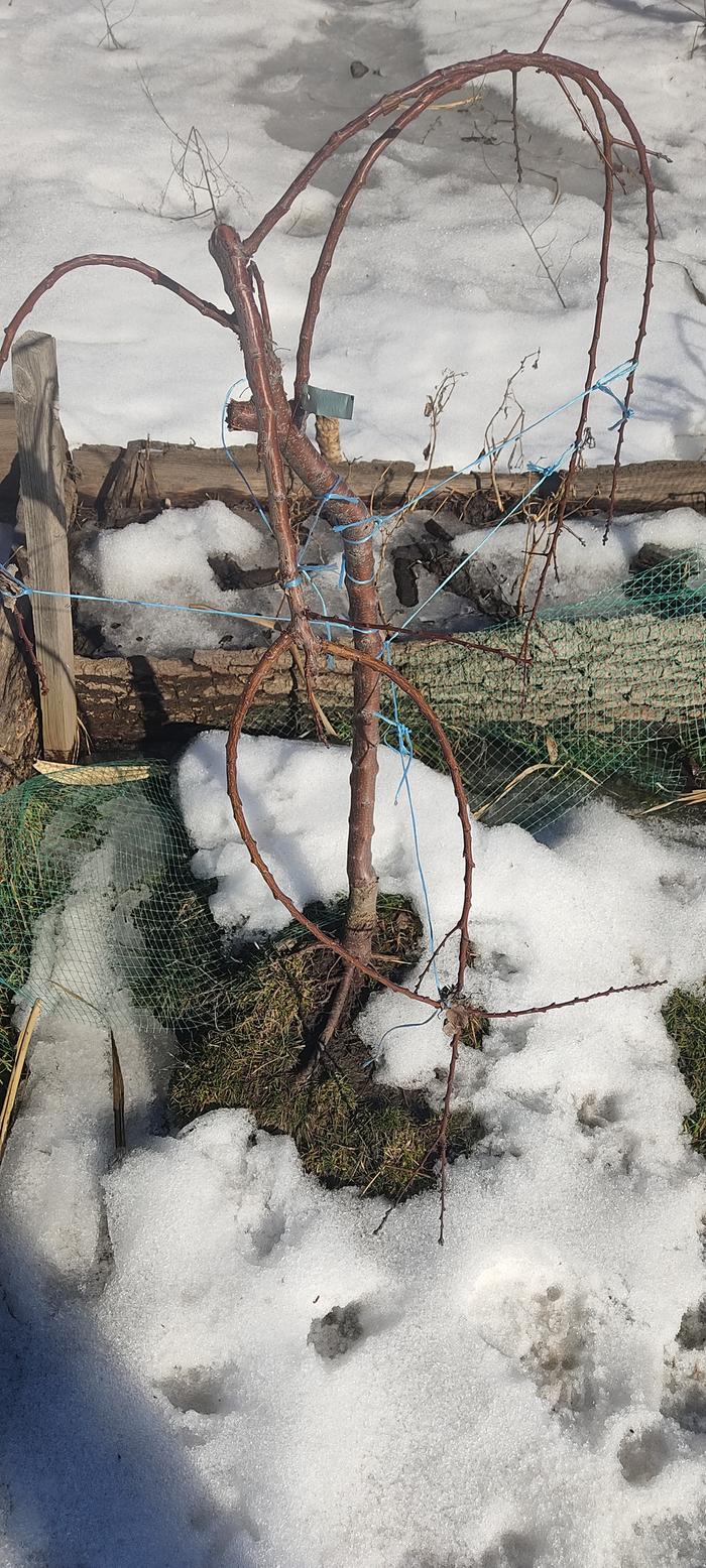 [Thumbnail for IMG_20260307_122846.jpg]