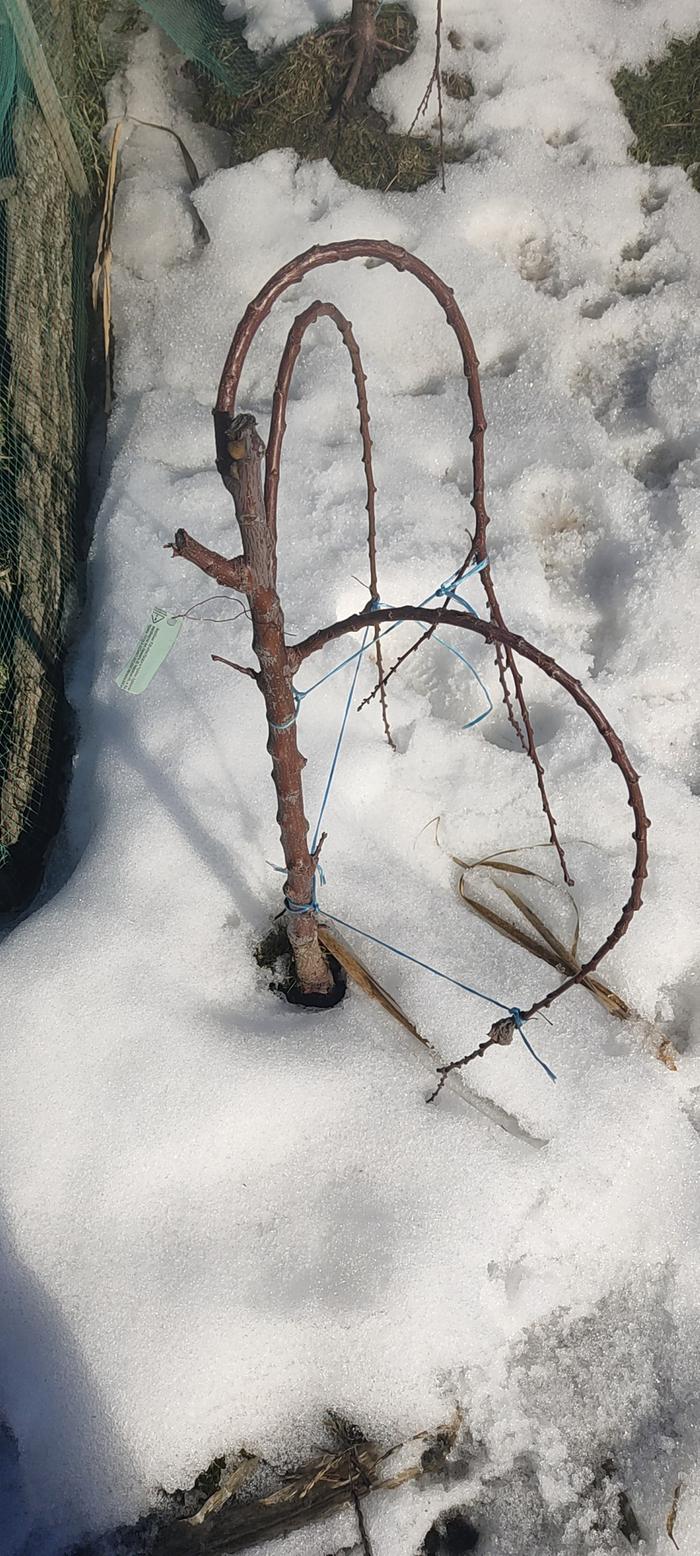 [Thumbnail for IMG_20260307_122906.jpg]