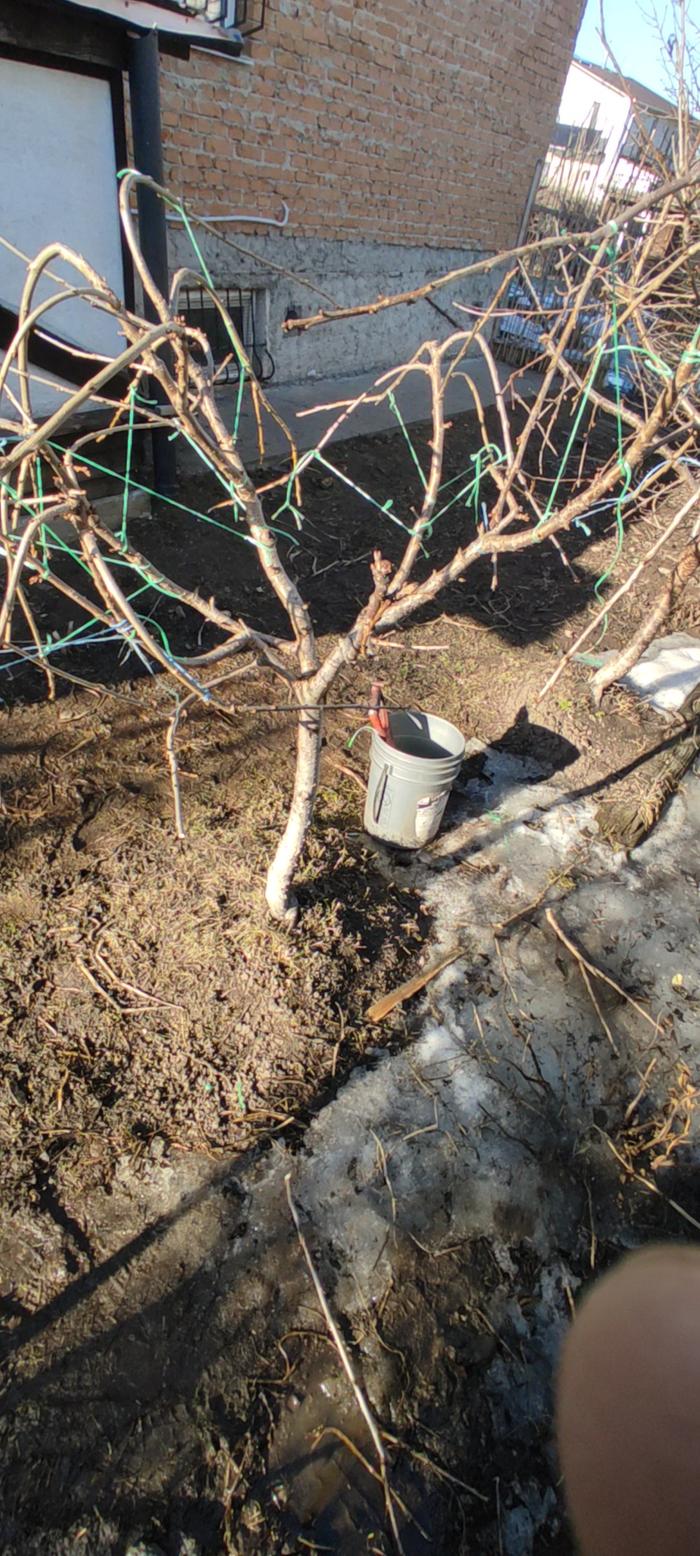 [Thumbnail for IMG_20260309_151548.jpg]