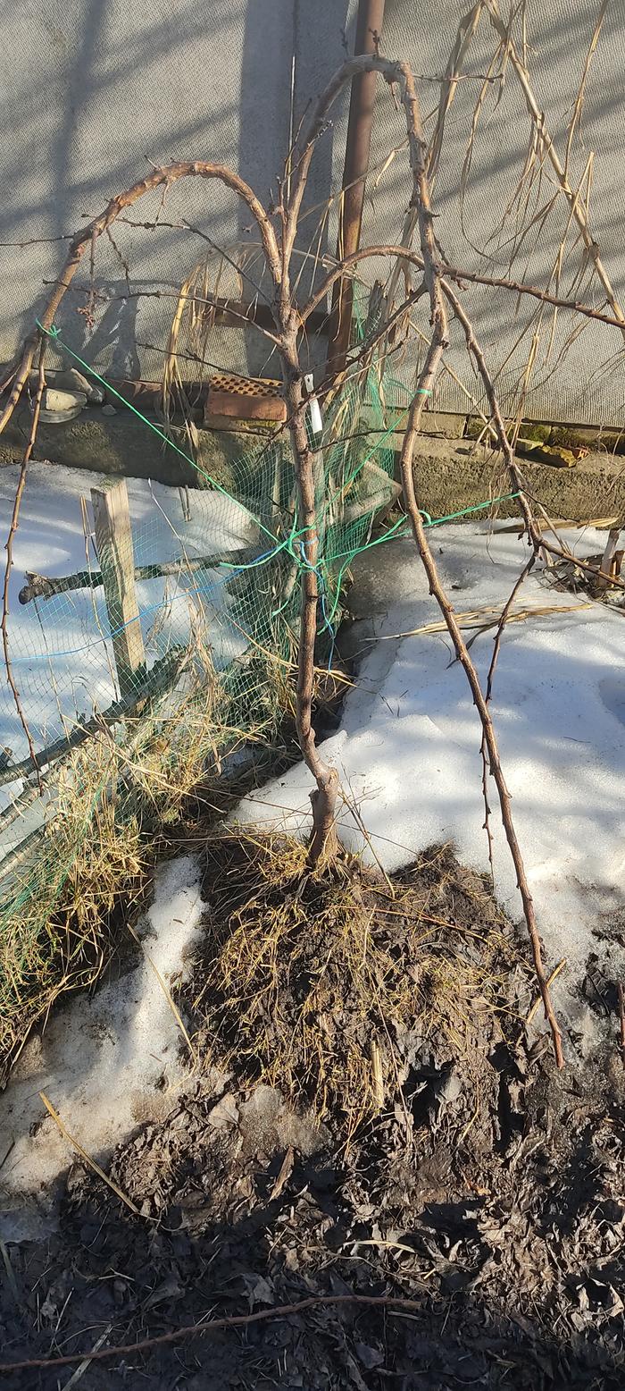 [Thumbnail for IMG_20260309_151612.jpg]