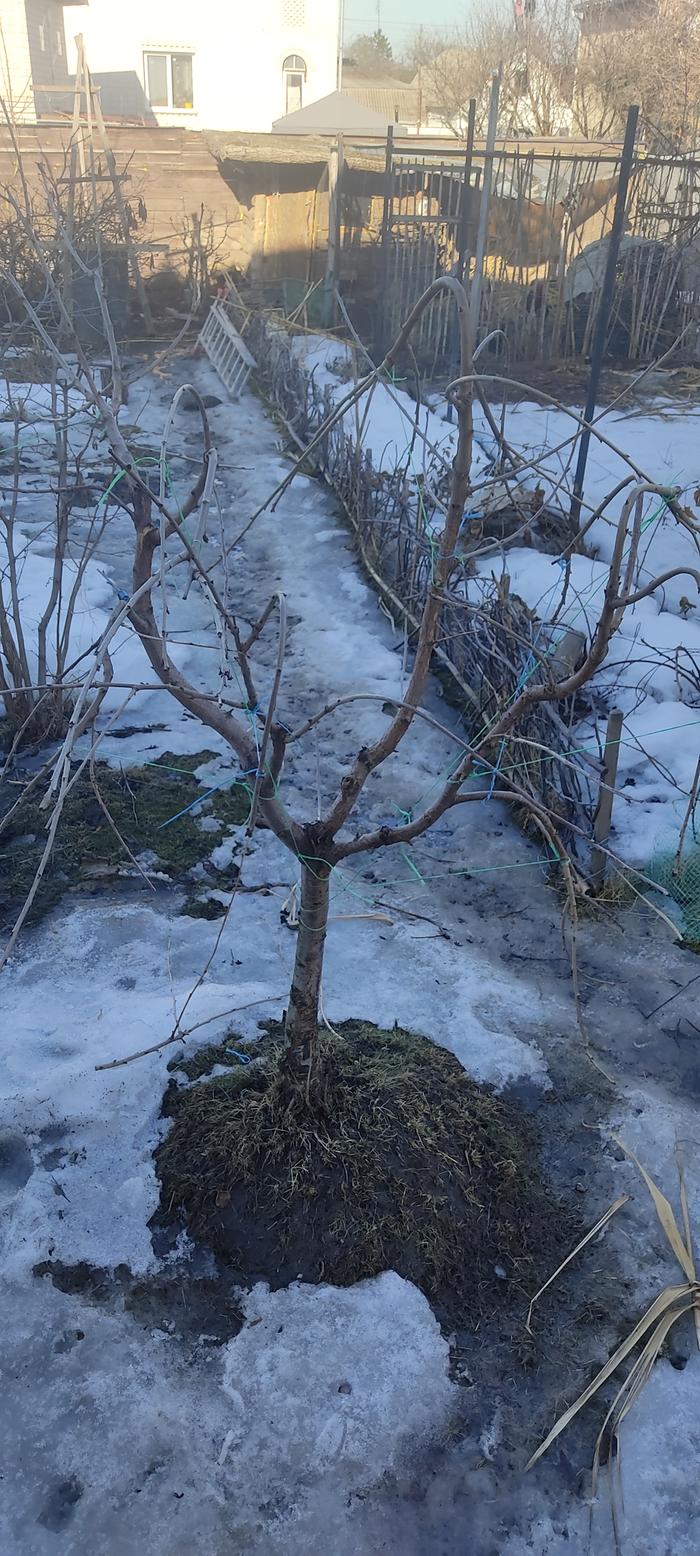 [Thumbnail for IMG_20260309_151626.jpg]