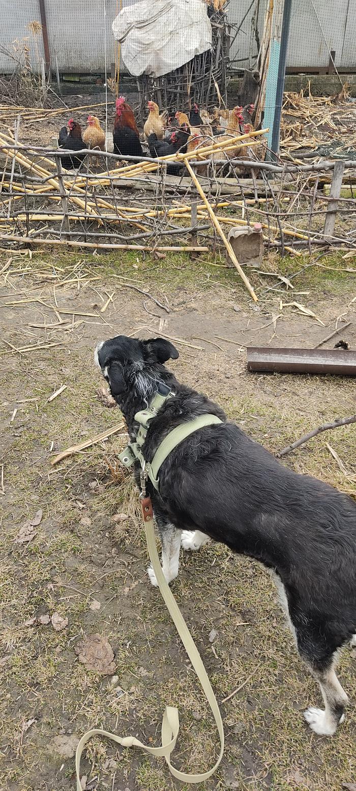 [Thumbnail for IMG_20260321_112232.jpg]