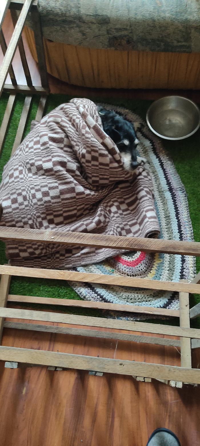 [Thumbnail for IMG_20260321_111820.jpg]