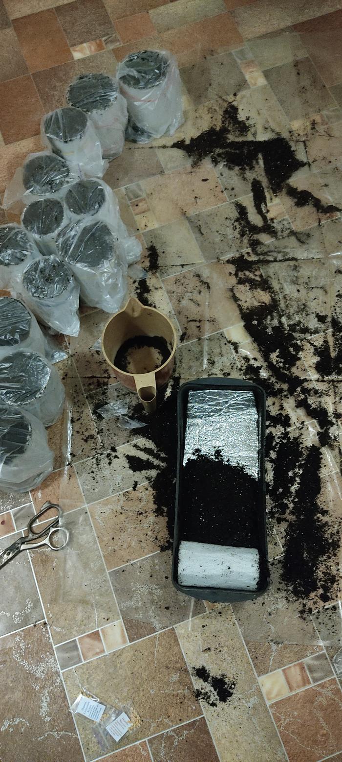 [Thumbnail for IMG_20260321_210520.jpg]