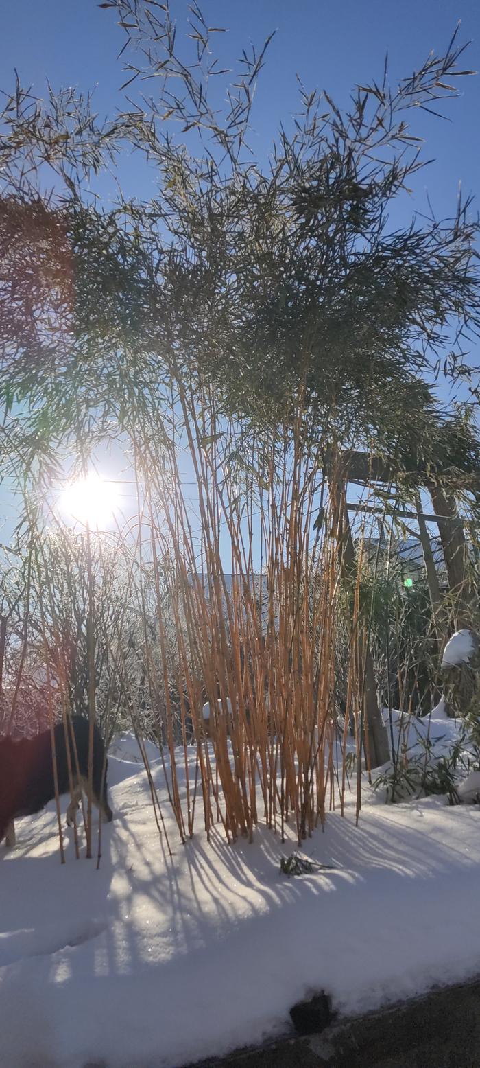 [Thumbnail for IMG_20260210_094031.jpg]