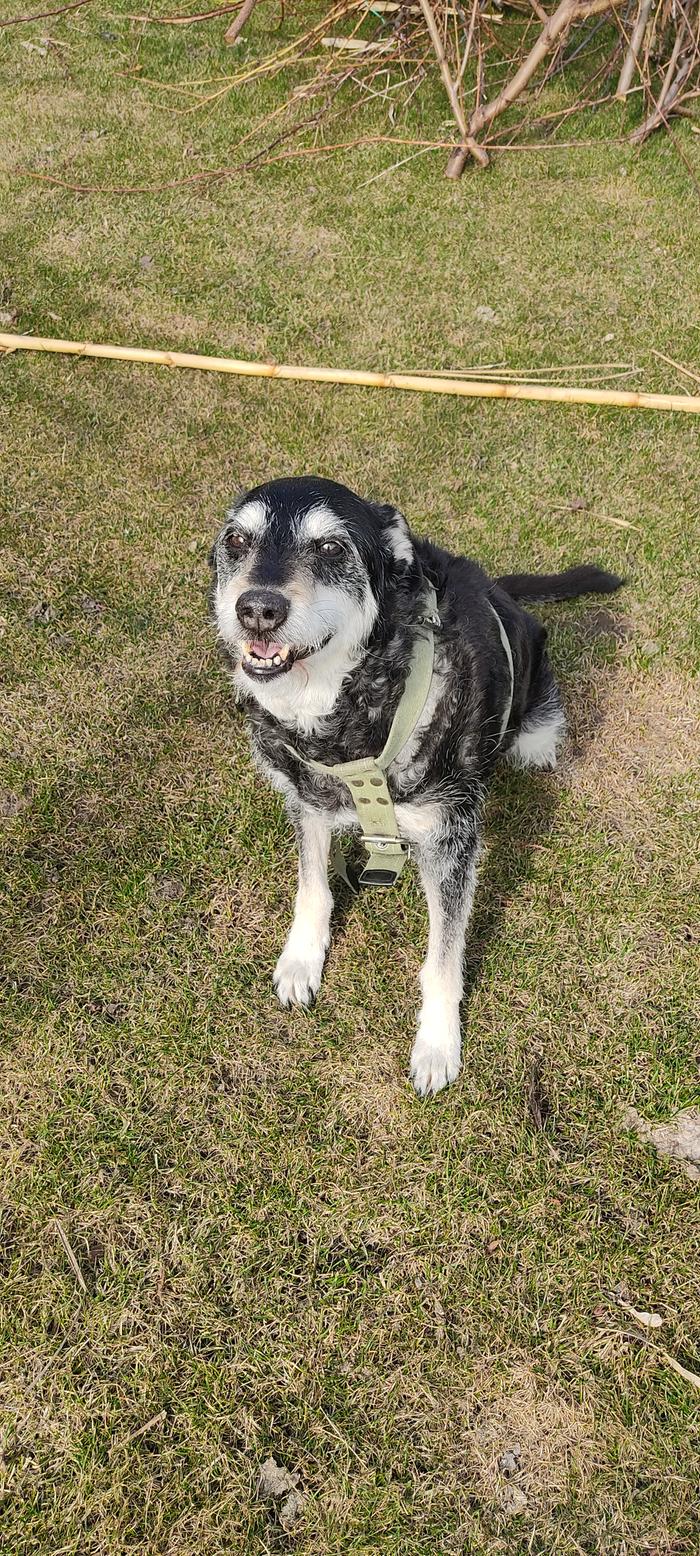 [Thumbnail for IMG_20260328_104803.jpg]