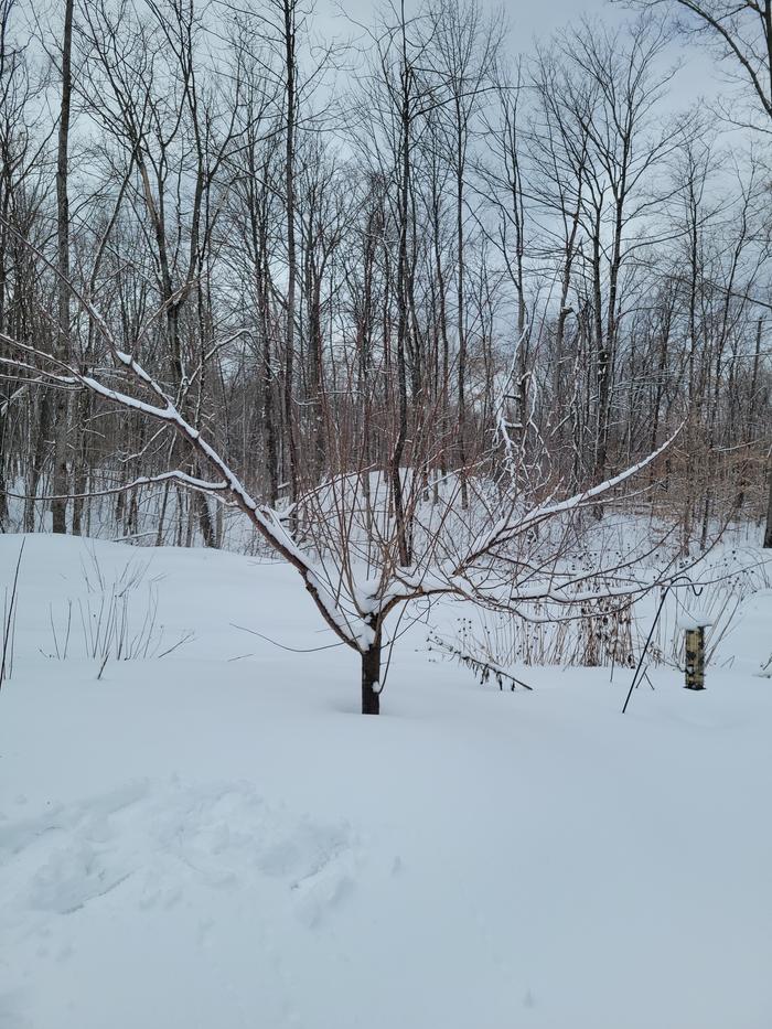 [Thumbnail for 20260314_122804.jpg]