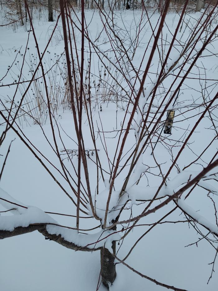 [Thumbnail for 20260314_122811.jpg]