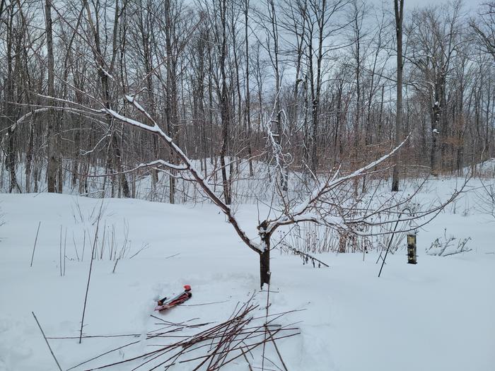 [Thumbnail for 20260314_124406.jpg]