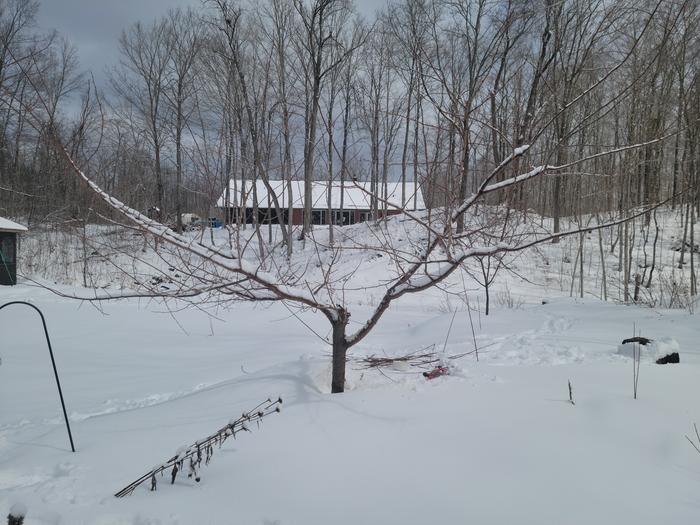 [Thumbnail for 20260314_125316.jpg]