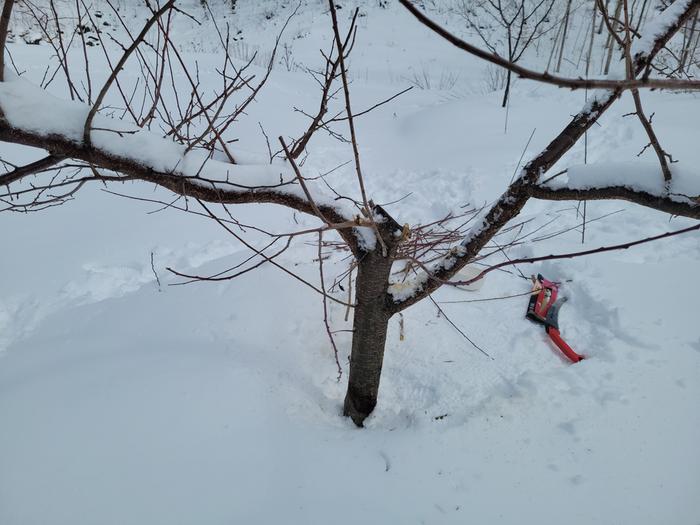 [Thumbnail for 20260314_125353.jpg]