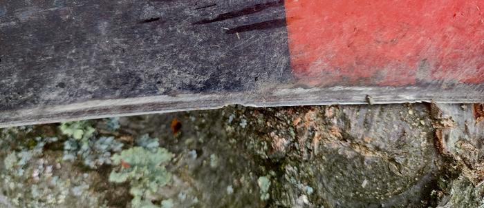 [Thumbnail for Chewed.jpg]