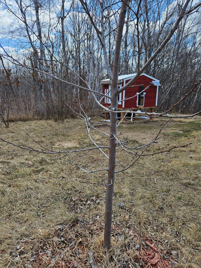 [Thumbnail for 20250411_110659.jpg]