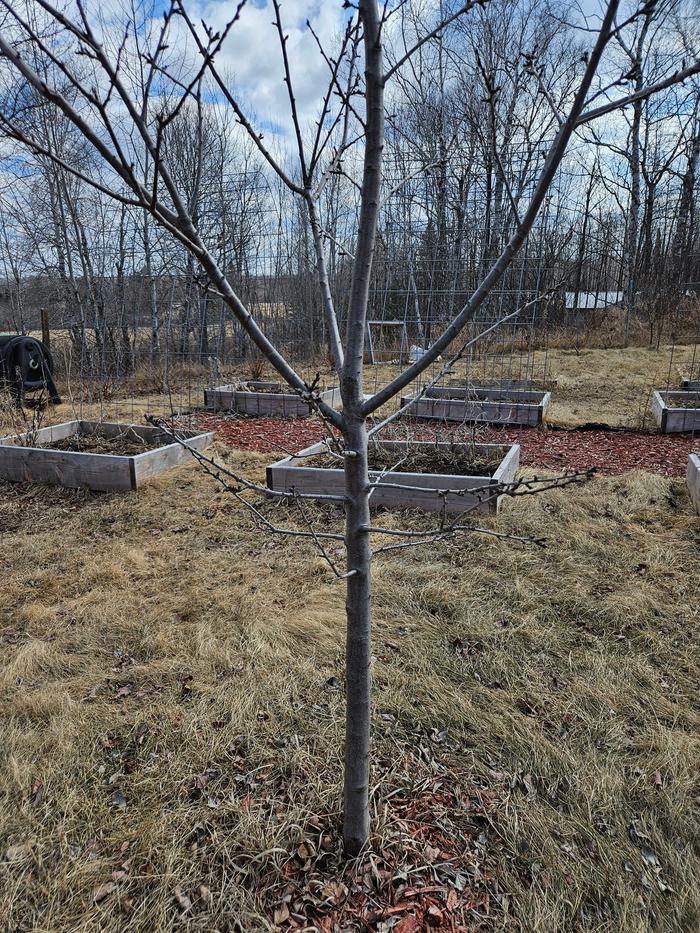 [Thumbnail for 20250411_110642.jpg]