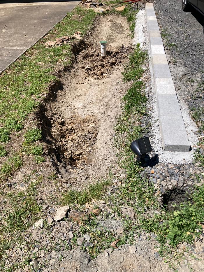 rain garden - in process