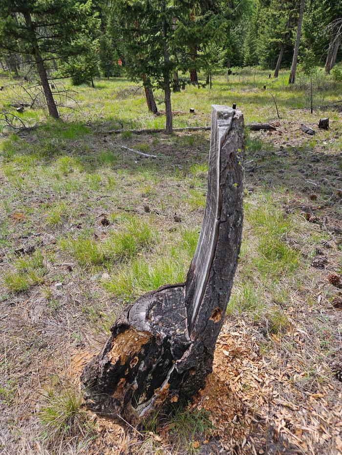 [Thumbnail for 20250510_154153.jpg]