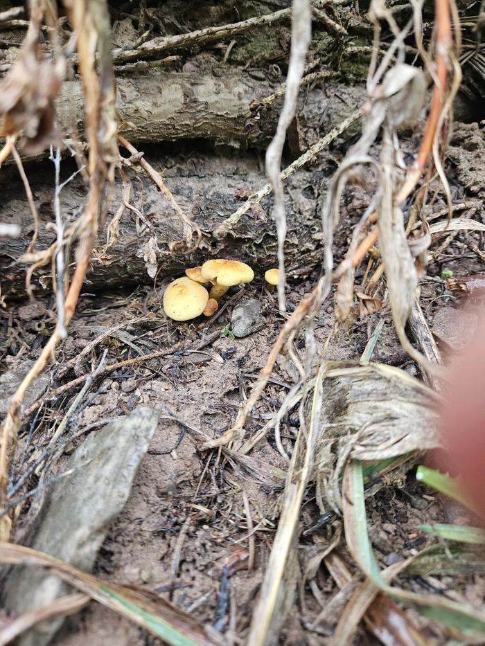 [Thumbnail for 20250514_091524.jpg]