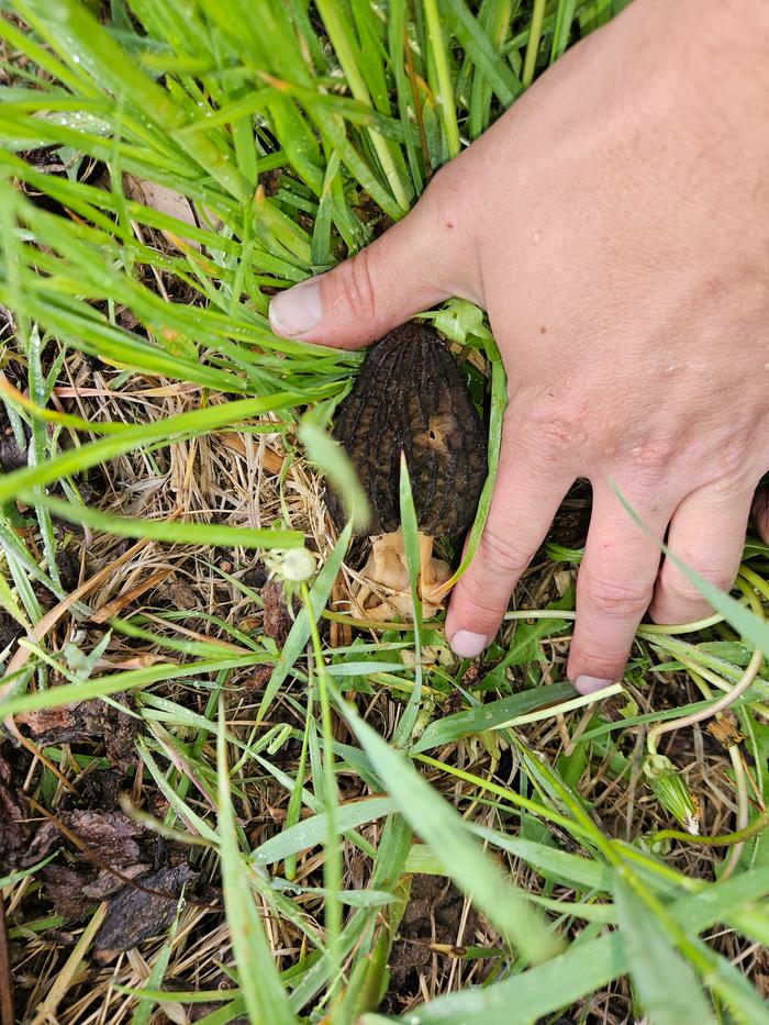 [Thumbnail for 20250513_085903.jpg]