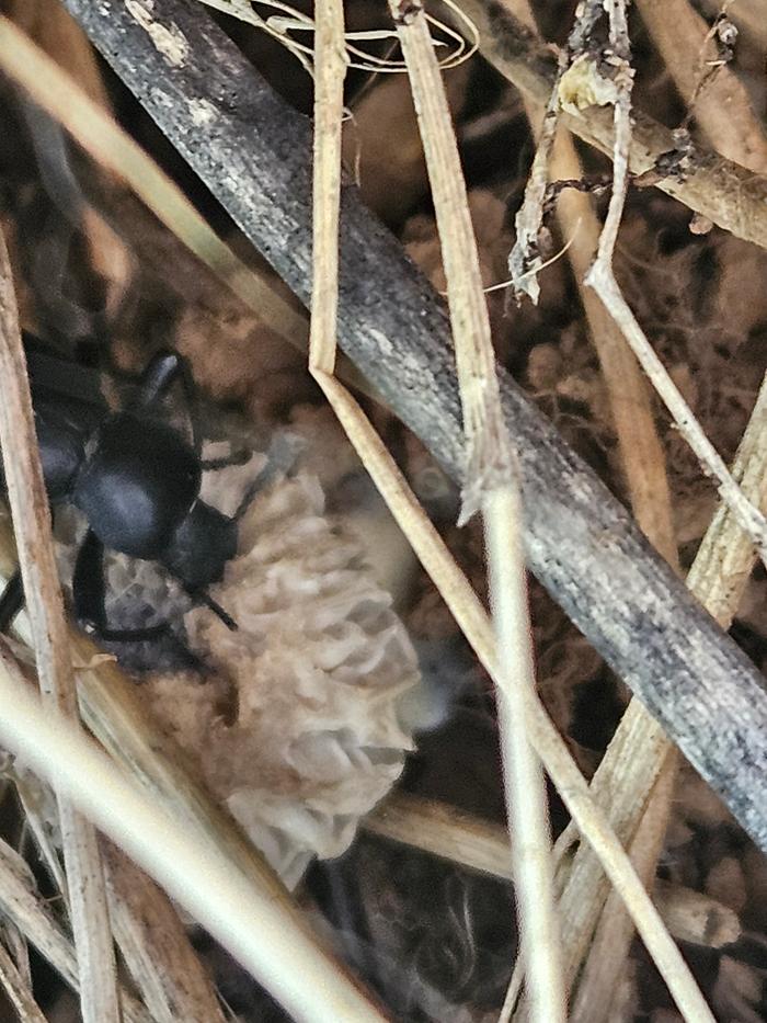 [Thumbnail for 20250512_135646.jpg]