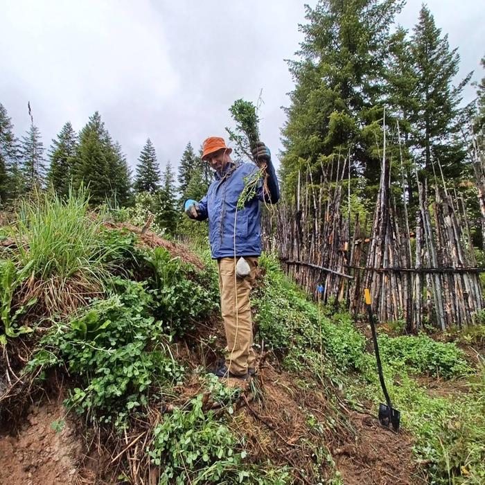 [Thumbnail for IMG_20250515_203603.jpg]