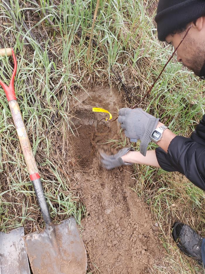 Tree planting Feat. Geoff 