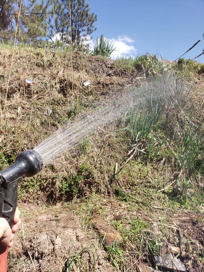 Irrigating hugelkultur beds