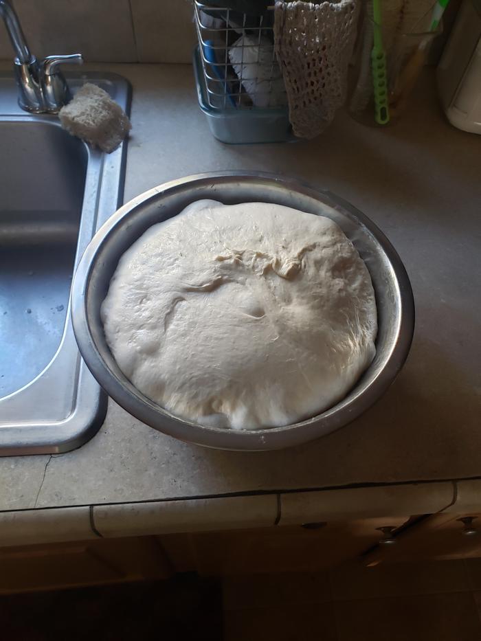 Sourdough rising