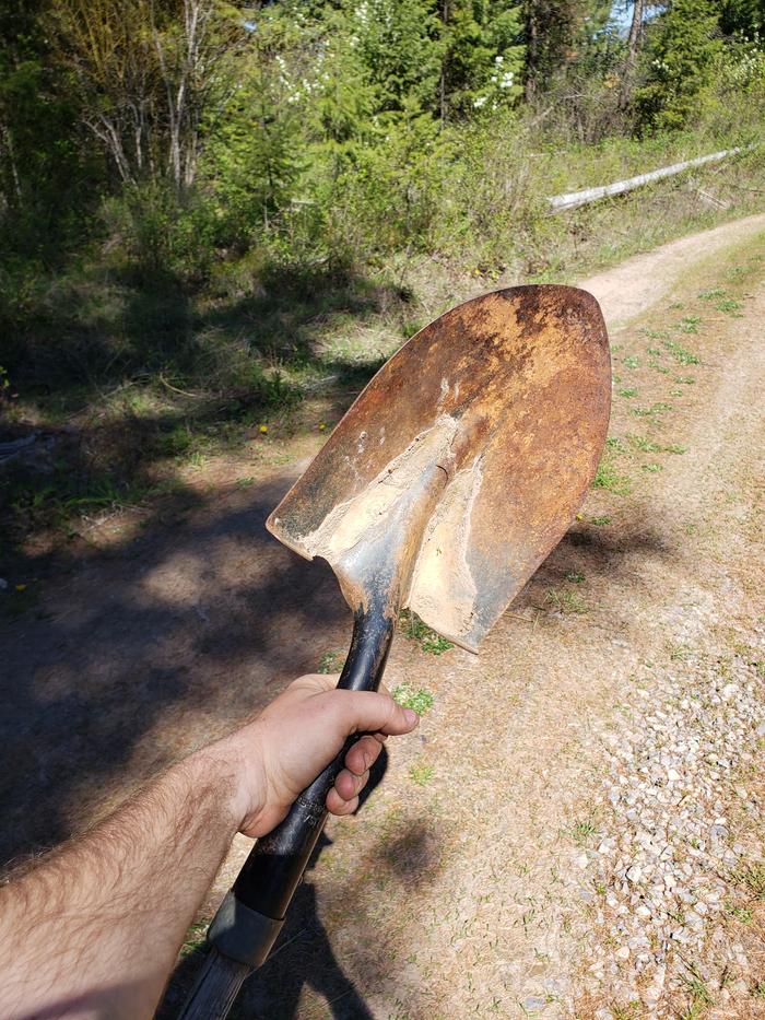 Buried treasure in the woods