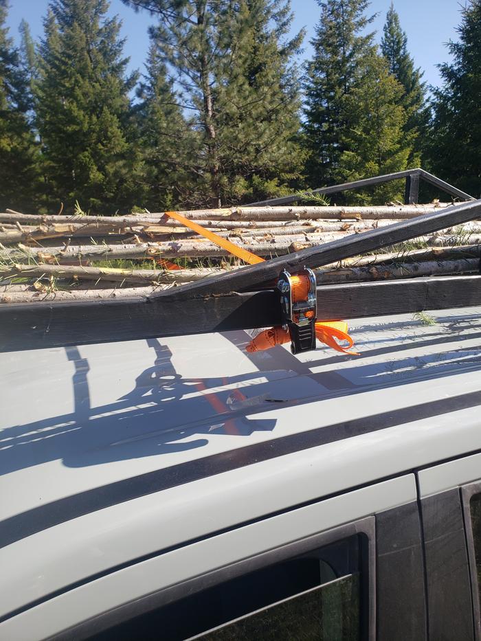 Junk pole got me a tie down bb