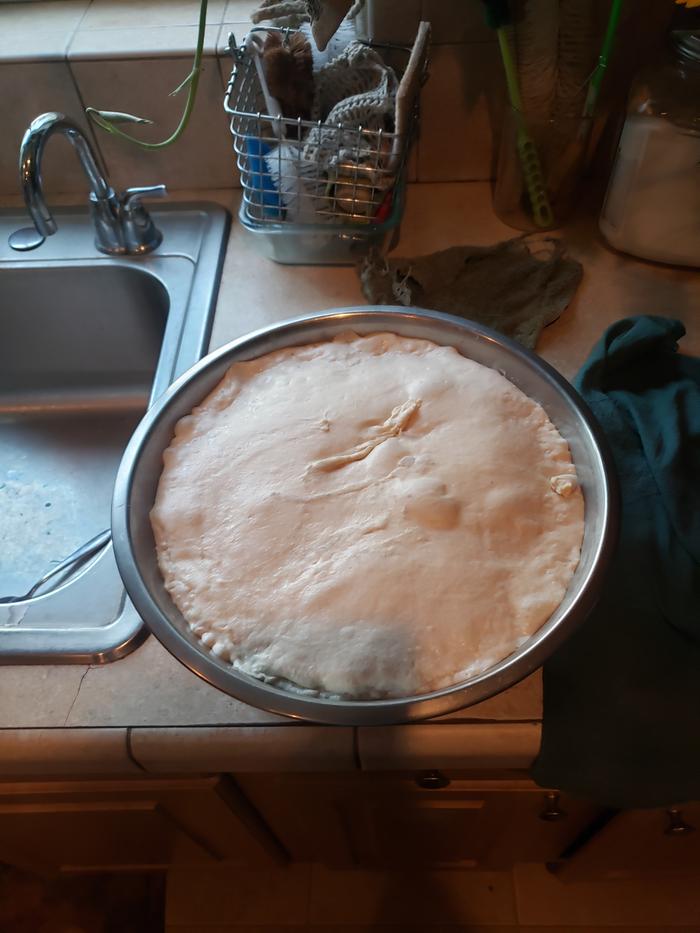 More dough to for BBs, and regular bread enjoyment