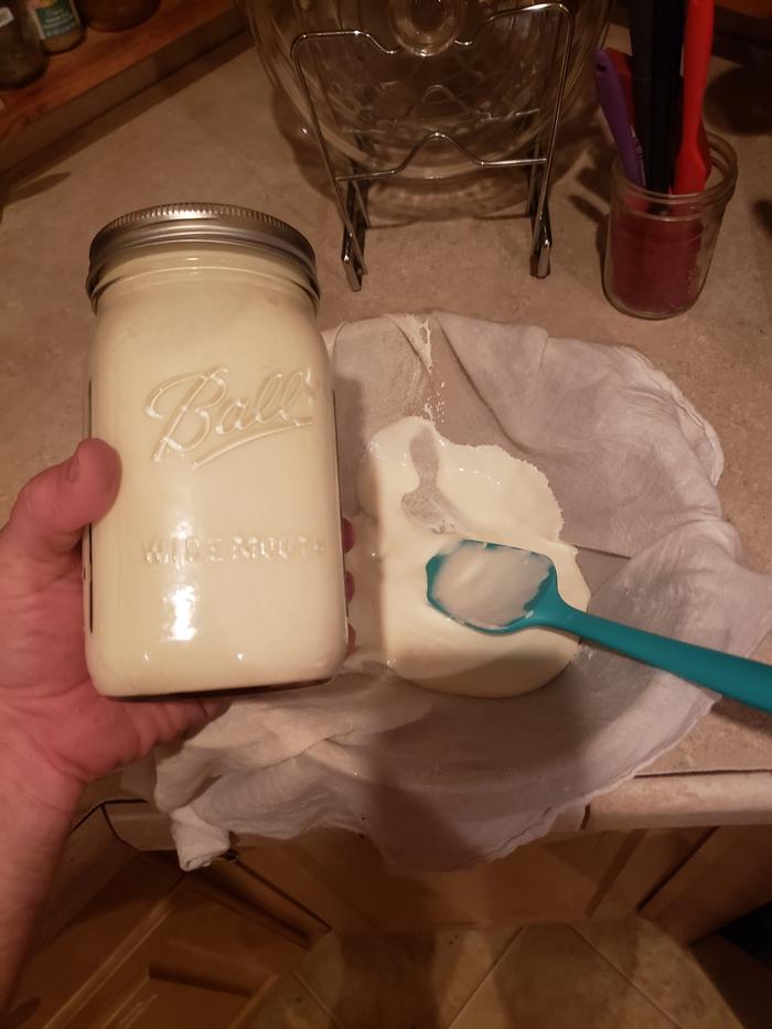 Completed yogurt for the BB