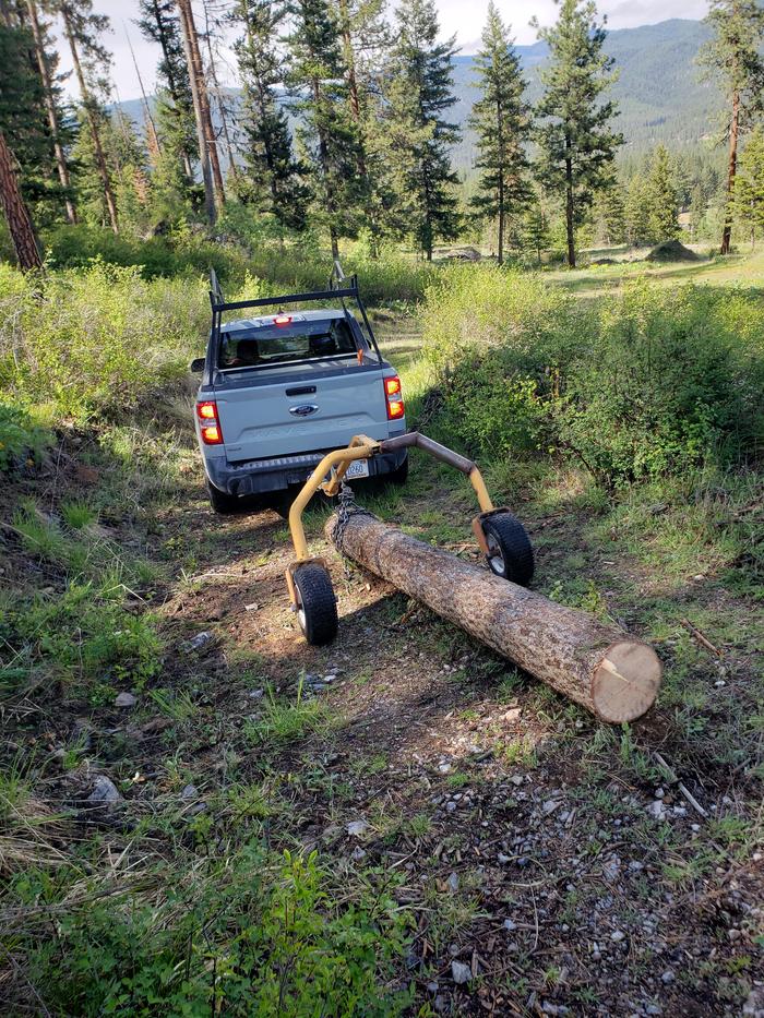 Moving logs with Roy
