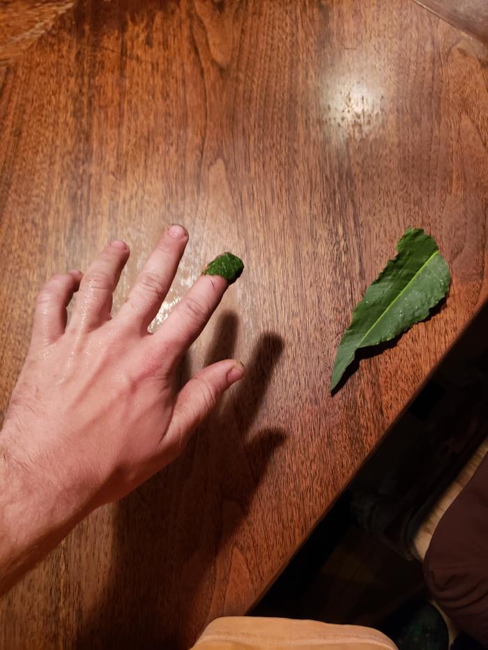 Healing the finger