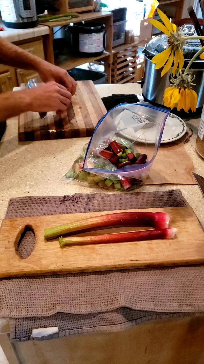 Rhubarb processing 