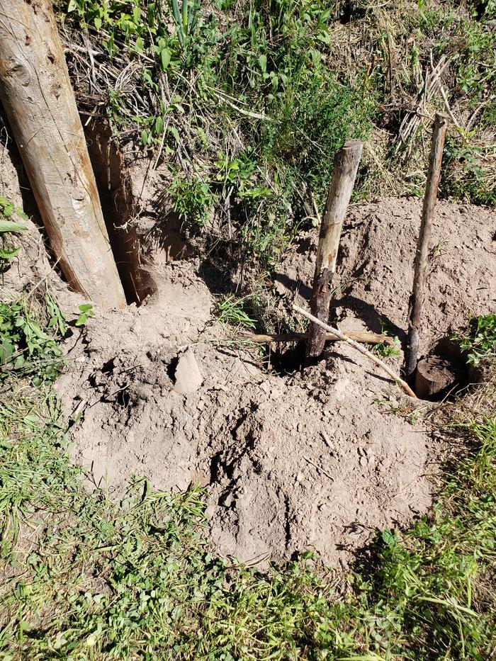 Digging hole for future steps