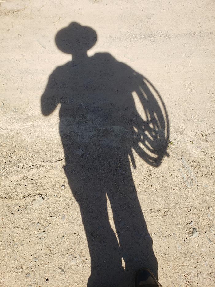 The shadows are cool