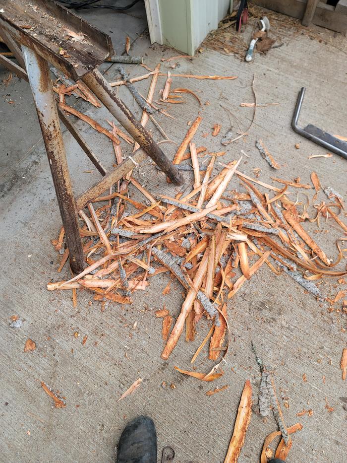 [Thumbnail for 20260324_111311.jpg]