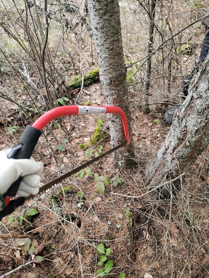 [Thumbnail for 20260324_090657.jpg]