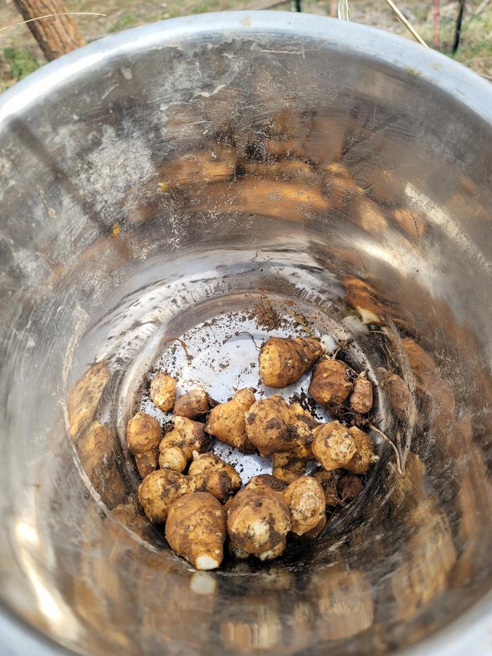 [Thumbnail for 20260323_161340.jpg]