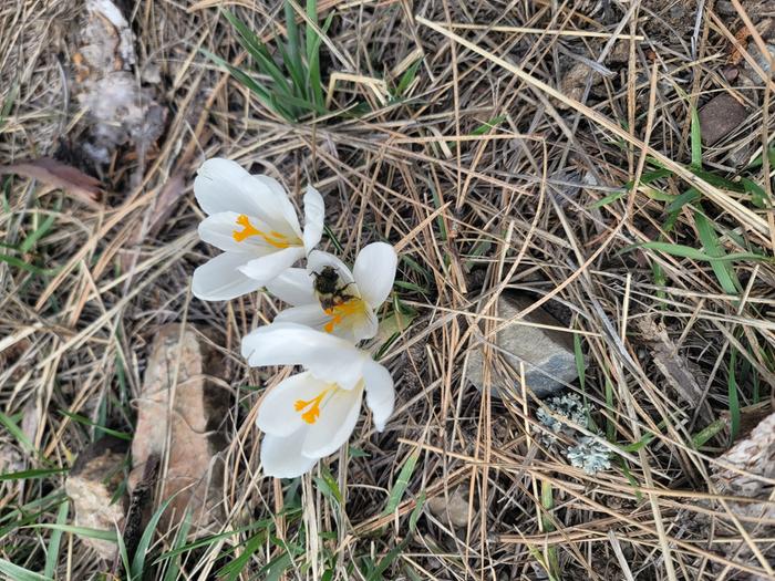 [Thumbnail for 20260323_160400.jpg]