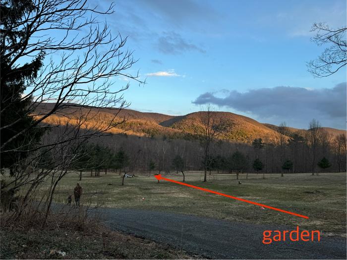 A garden at the base of a mountain in New York