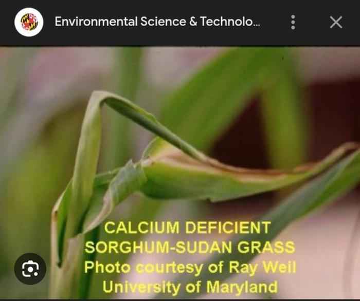 Screenshot from UM page