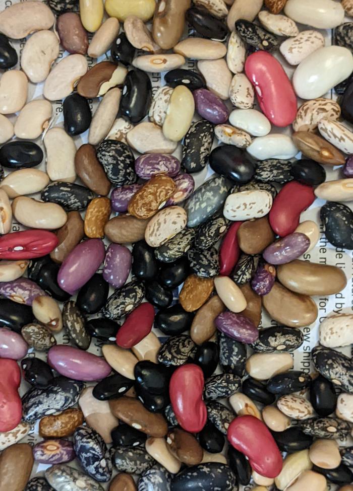 mixed beans