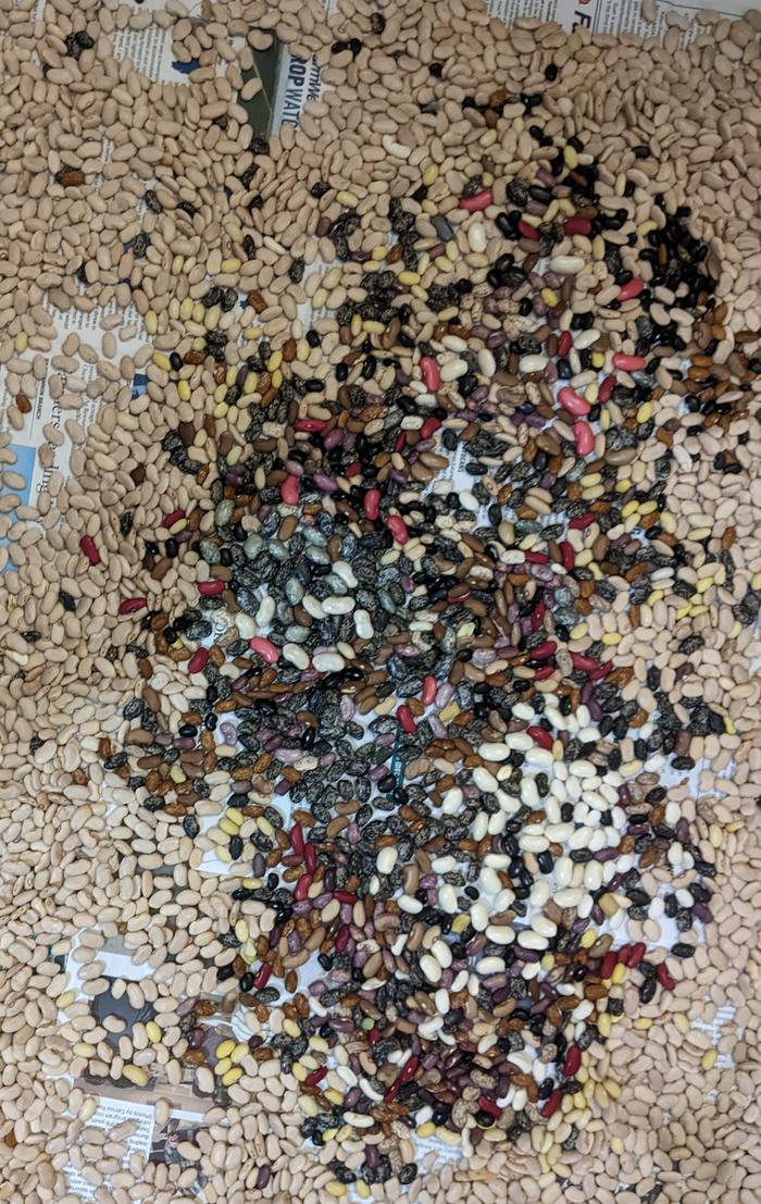 mixed beans
