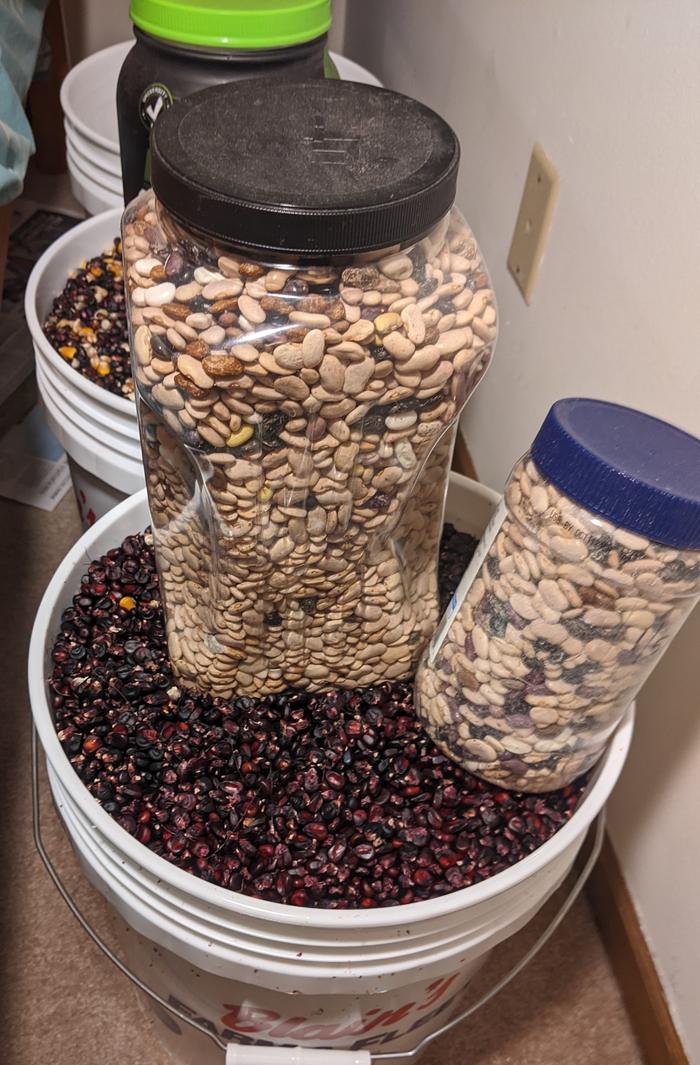Corn and beans