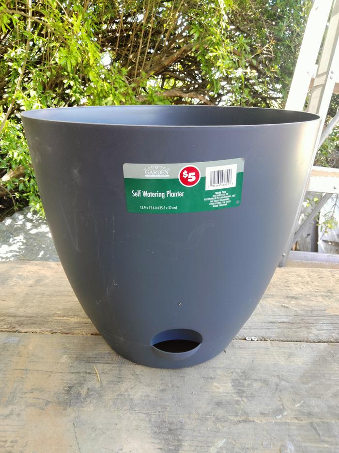 Original pot 