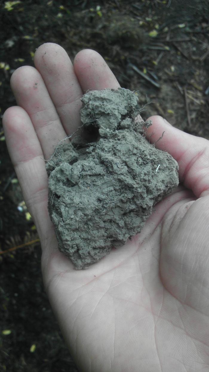 My native soil in both areas is a whitish clay