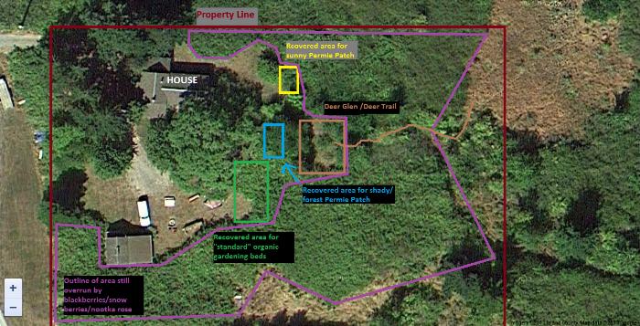 marked-up map of our property