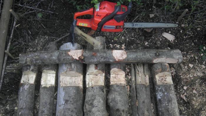 As you can see, I used my chainsaw to notch out one end of all the base layer logs and tie them together with a nested cross-log.